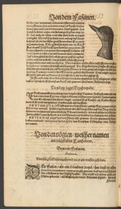 Von dem Fasanen. Phasianus.