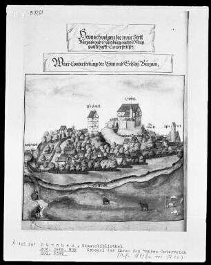 Spiegel der Ehren des Hauses Österreich — Stadt und Schloß Burgau, Folio 138verso