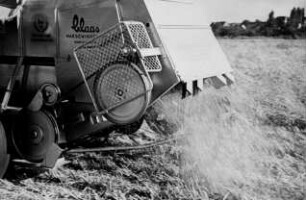 Strohschneider am Claas MD