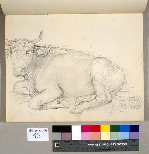 Liegender Stier