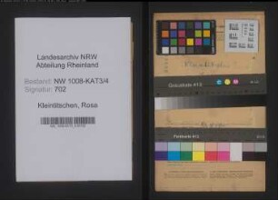 Entnazifizierung Rosa Kleintitschen , geb. 19.08.1894 ()