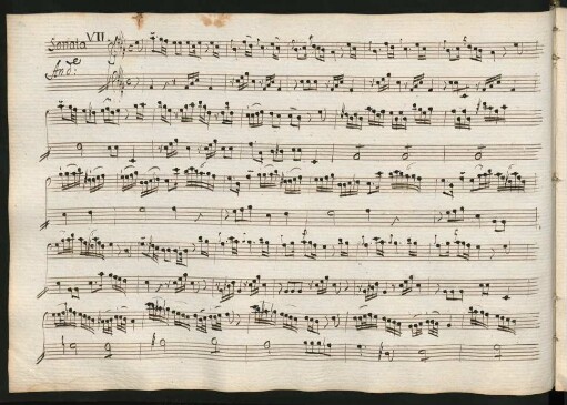 Sonata VII; A-Dur