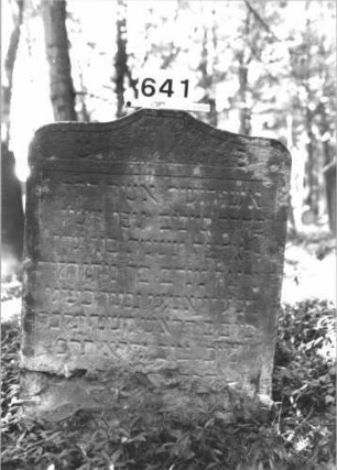 Grabstein 641 (Index: 99900617) Material: Sandstein Zustand: unten stark verwittert, sonst angewittert Maße HxBxT: 100x75x8 cm Beschreibung: Stele mit Schulterbogenabschluss, im Bogenfeld Levitenkanne und Blüten Symbolik: Levitenkanne, Blüten: Grabstein 641