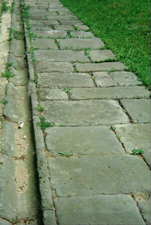 Gehwegplatten und Wasserrinne