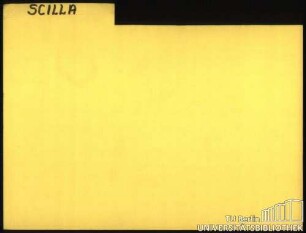 SCILLA