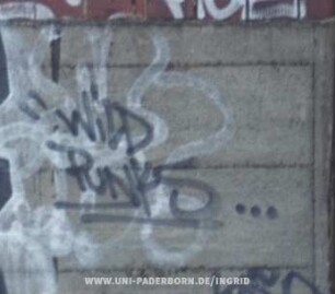 "WiLD PUNKS...