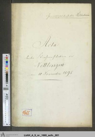 Nettlingen: Visitationsakten