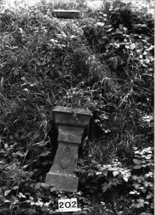 Grabstein 202 (Index: 99897837) Zustand: liegend: Grabstein 202