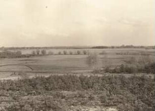 Oberlausitz. Driewitz-Milkeler Heide: Blick ins Urstromtal gegen SO