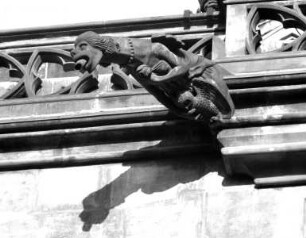 Wasserspeier: Frau mit Eule