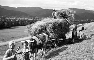 Kappel: Heu aufladen, mit Wagen; Schwarzwald