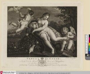 Venus & Cupid