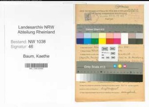 Entnazifizierung Kaethe Baum , geb. 01.09.1915 (Kindergaertnerin)