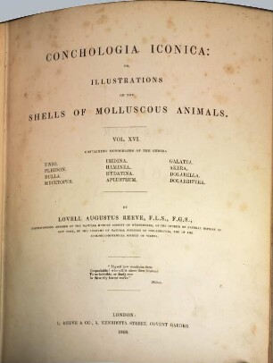 Conchologia iconica: or, illustrations of the shells of molluscous animals. XVI