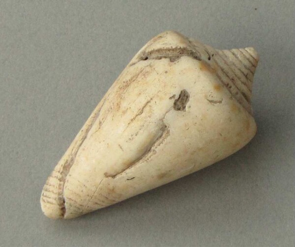 Snail shell as jewellery (?)