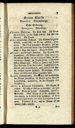 Dritte Klasse. Triandria. Dreymännige.