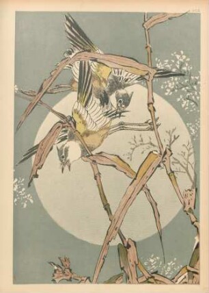 ACG [Oiseaux dans les bambous (Clair de lune)]