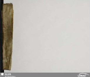 Einbandfragment [mit Textfragment]