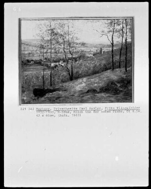 Blick von der hohen Eiche