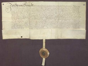 Der kurpfälzischer Rat Otto von Grünrode wiederholt seine Schenkung an den kurpfälzischen Notspeicher.