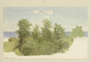 Baumgruppe bei Walluf