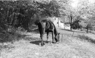Nossen-Kottewitz. Am Buschhaus
