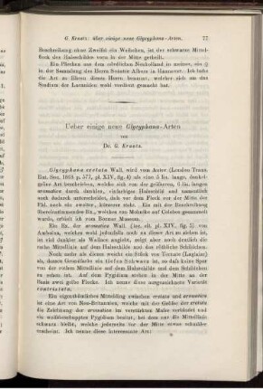 Ueber einige Glycyphana-Arten