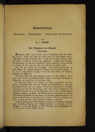 Der Bauplan des Staates