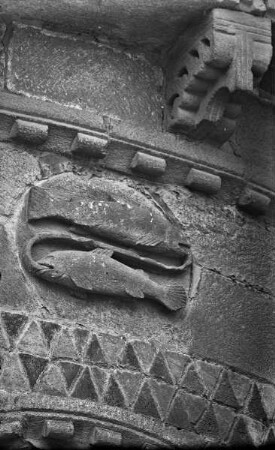 Sternzeichen Fische
