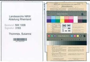 Entnazifizierung Susanna Thommes , geb. 05.01.1890 (Pflegerin)