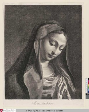 Mater Salvatoris