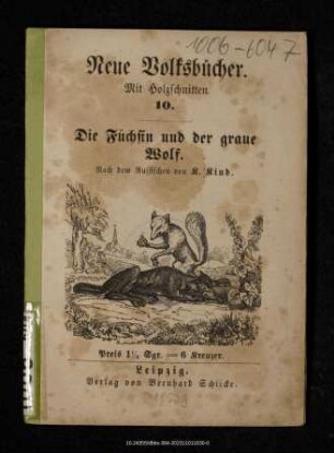 Die Füchsin und der graue Wolf