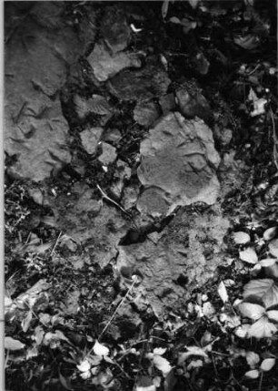 Grabstein 619 (2)