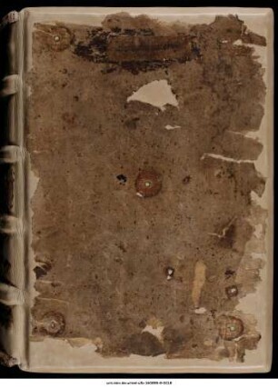 Biblia sacra (Proverbia-Apocalypsis)