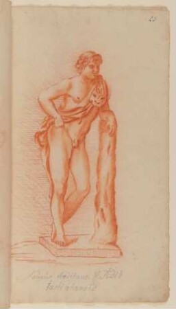Marmorfaun [nach Tafel 45 von François Perriers "Icones et Segmenta Nobilium Signorum et Statuarum..." (1638)]