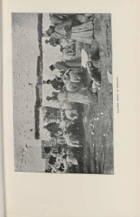 Loading sheep at Fobrang