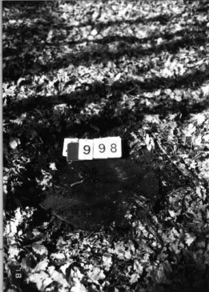 Grabstein 998 (Index: 99902657) Material: Sandstein Zustand: Stein umgestürzt, keine Inschrift erkennbar: Grabstein 998