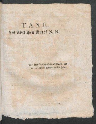 Taxe des Adelichen Gutes N.N.
