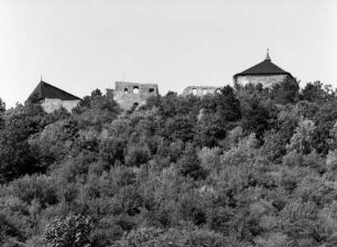Burg Točnik