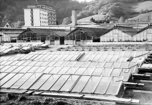 Freiburg: Gewächshäuser des Gartenamtes
