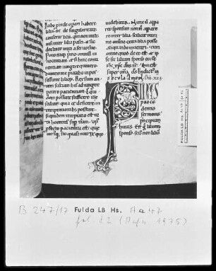Bernhard von Clairvaux, Sermones in Cantitum Canticorum — Initiale F (ines), Folio 82 recto