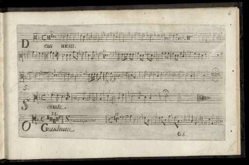 5. O gaudium super gaudium