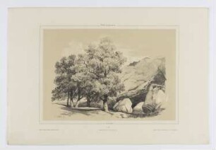 Felsen und Bäume, Blatt 32 der Folge "Landschaftsstudien"