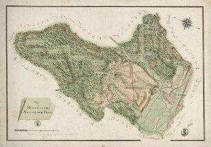 Plan von Haegelberg, Steinemer Bann