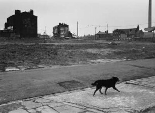 Brache in der Innenstadt, Liverpool