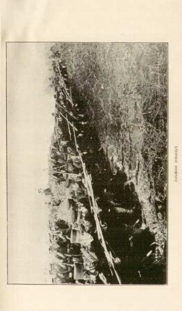 Japanese infantry