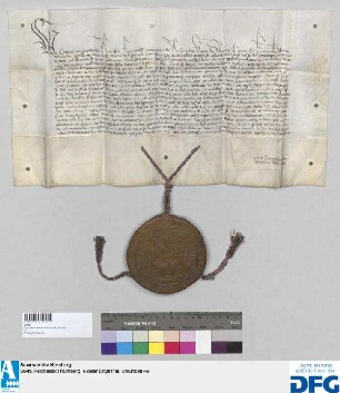 König Sigmund nimmt das Kloster Engeltal in seinen besonderen Schutz und bestätigt die ihm von seinen Vorgängern verliehenen Rechte und Freiheiten.