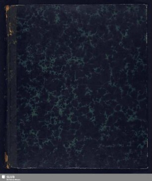 8: F. - Mscr.Dresd.h.21,Bd.8