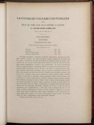 La Fauna De' Calcari Con Fusulina Nella Provincia Di Palermo