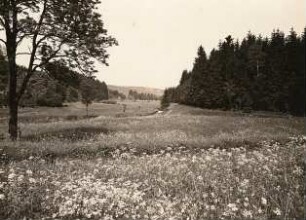 Erzgebirge : Erzgebirge. Blick ins Flöhatal bei Rauschenbach talaufwärts